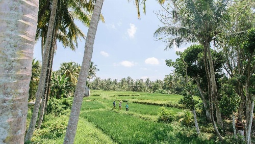Tejaprana Resort And Spa image 15