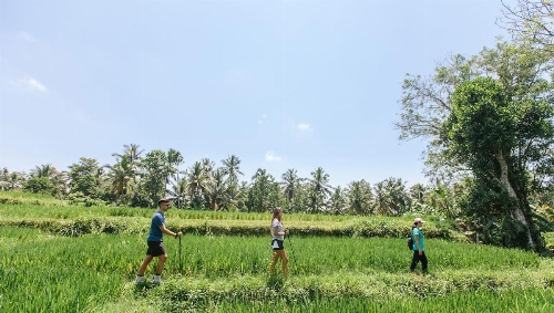 Tejaprana Resort And Spa image 16
