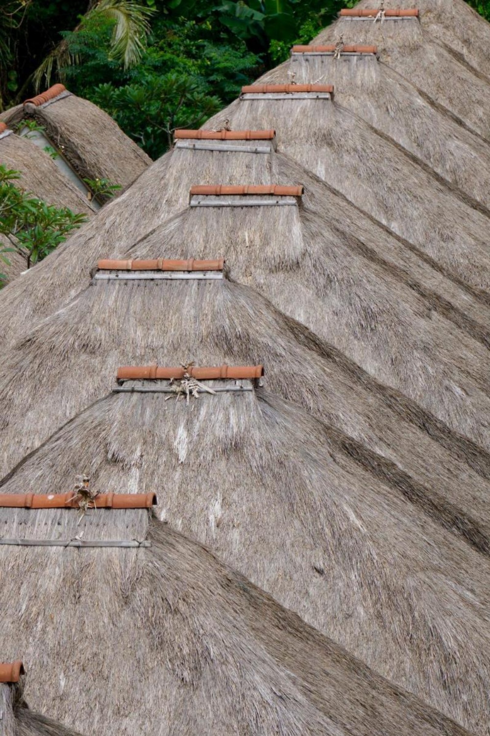 Tejaprana Resort And Spa Image 43
