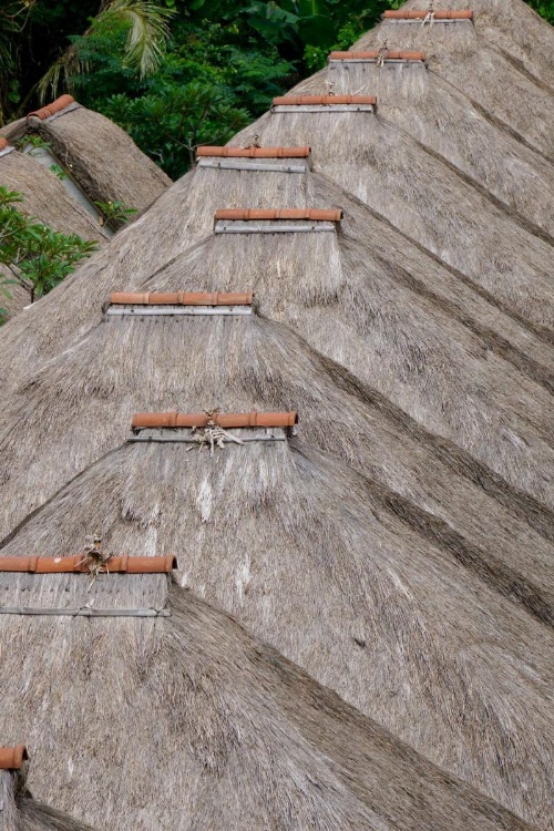 Tejaprana Resort And Spa image 43