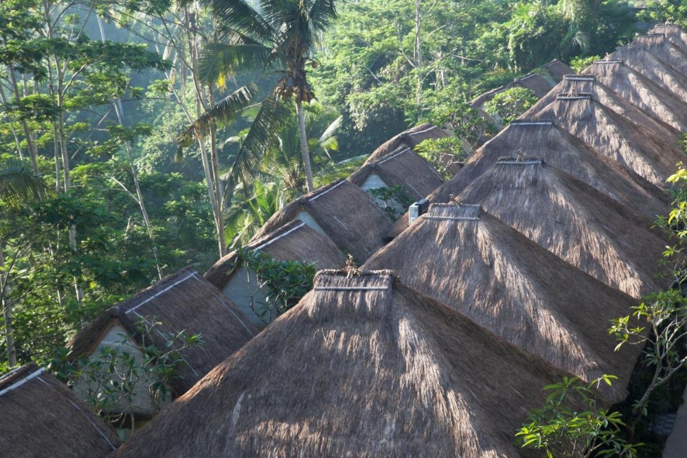 Tejaprana Resort And Spa Image 50