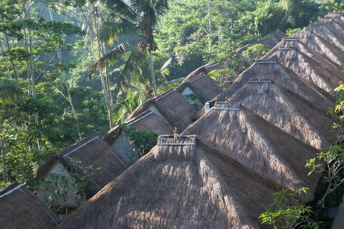 Tejaprana Resort And Spa image 50